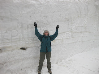 pep in front of high snowbank at the Alpine Visitor Center (elevation 11,796 feet)