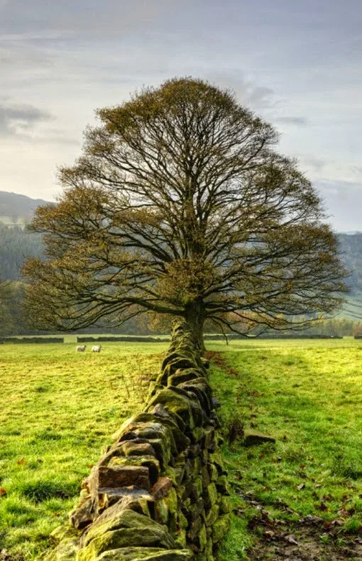 Peak District, England