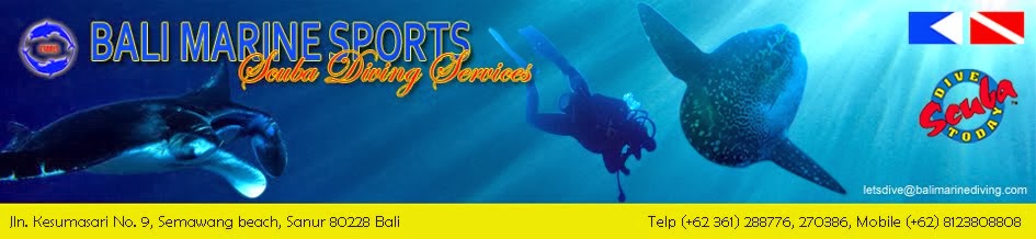 Bali Marine Diving...., Scuba Diving Services