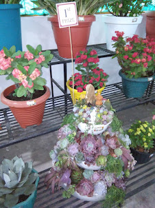 Flower show at Hornbill Festival in Kisama heritage village.