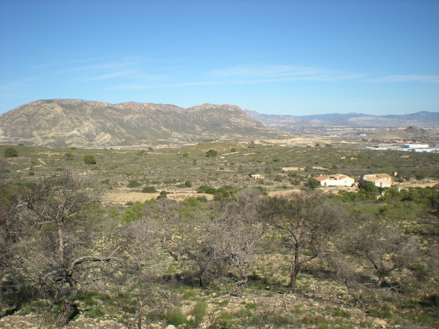 Desde Sierra Borbuño