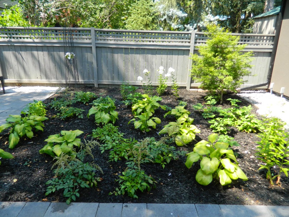 the danforth garden design after by Paul Jung Gardening Services Toronto the danforth garden design after by Paul Jung Gardening Services Toronto