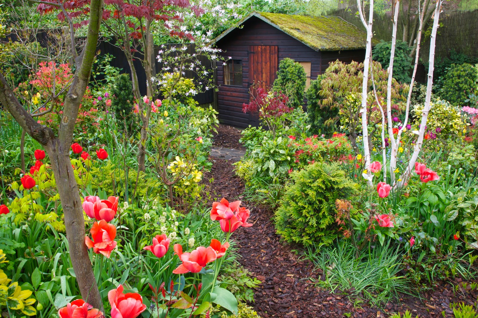 Our+garden+shed+in+spring.jpg
