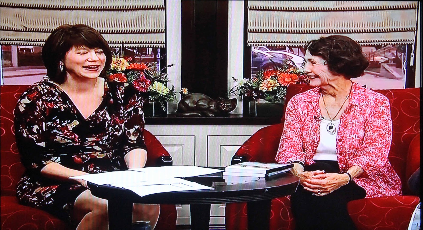 Smith Mountain Lake Mystery Writer SECOND APPEARANCE ON DAYTIME BLUE