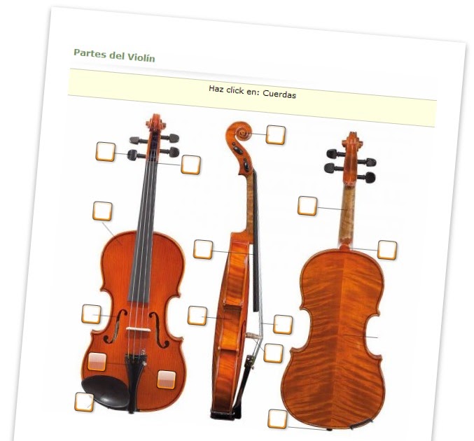 Mis Apuntes Musicales Partes del Violín