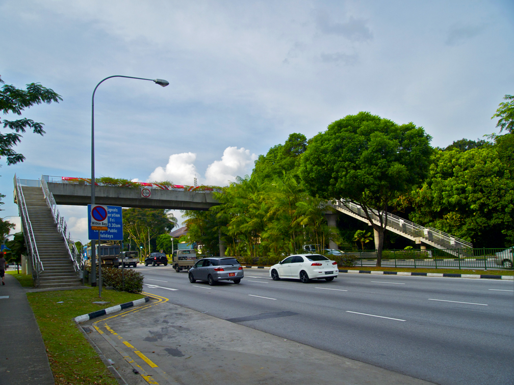 Singapore Overhead Pedestrian Bridges