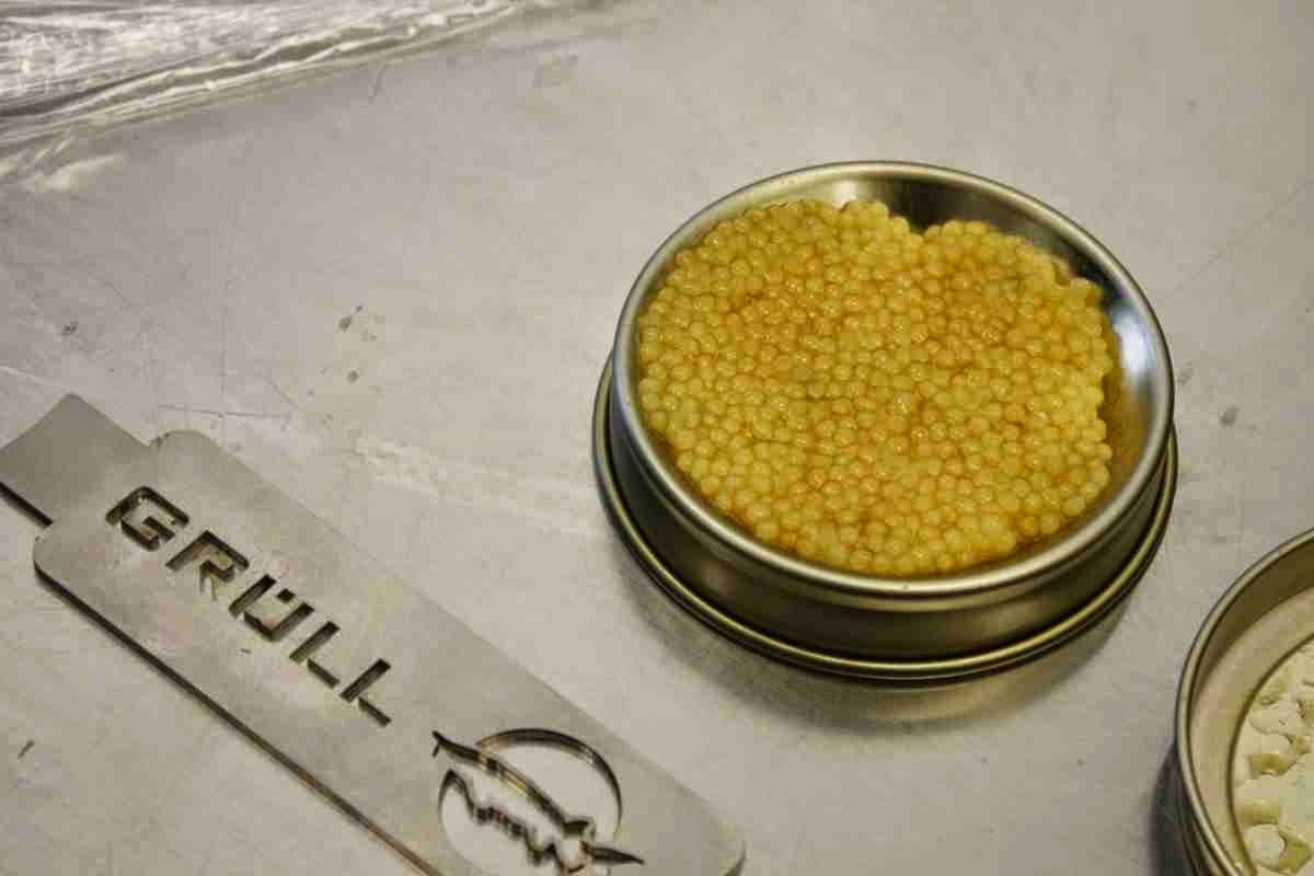 The highlight - white caviar