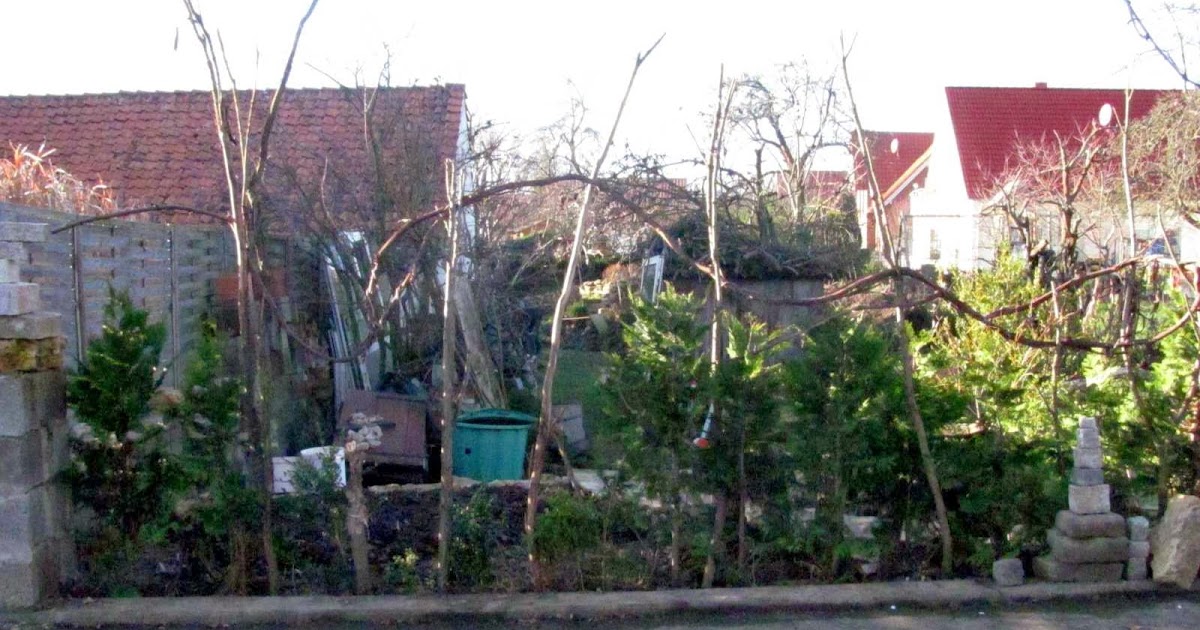 Welcher ist der passende zaun für den garten – hier fünf beispiele ...