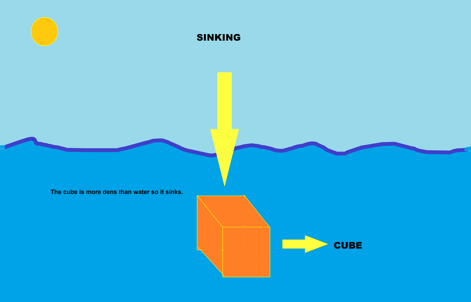 Room 12 Everglade School Floating and sinking