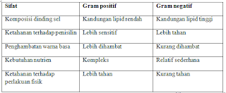 Tabel Perbandingan Bakteri Gram Positif dan Gram Negatif