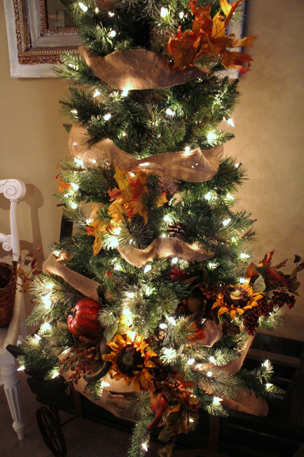 common ground Who says it's too early for a tree?