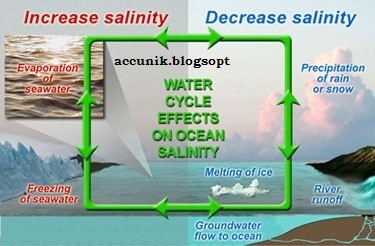 Selamat Datang Di Blog Accunik Penjelasan Kenapa Air Laut Rasanya Asin