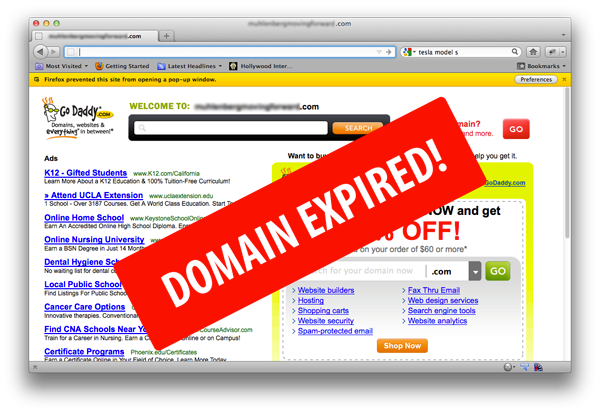 What Happens to Expired Domain Names? What Happens to Expired Domain Names?