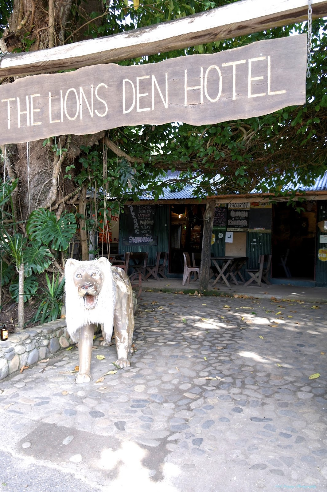 Can Go Around Australia Lions Den Hotel Helenvale