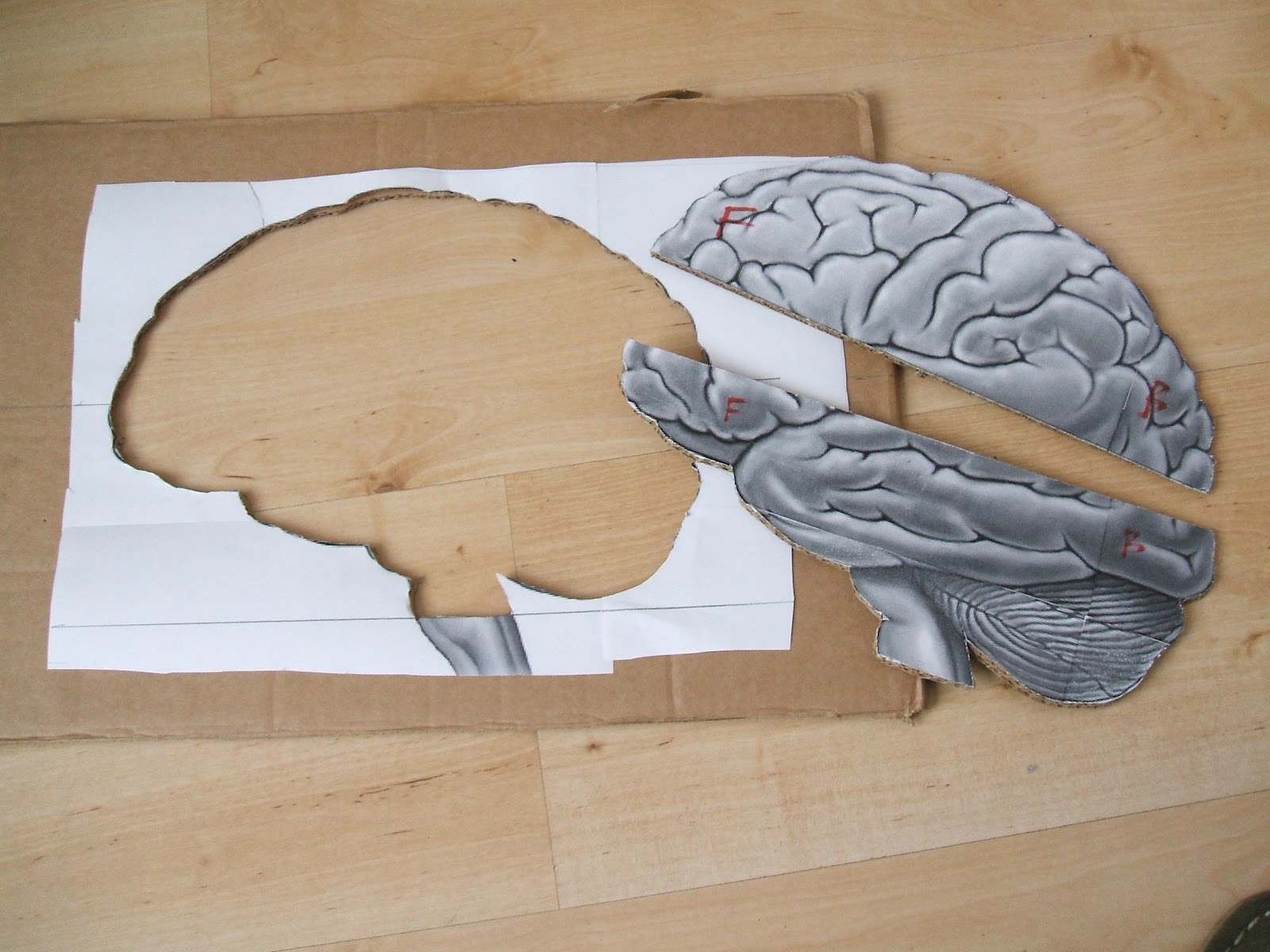 qthurtle "The Brain" Step 1 Create the brain sculpture