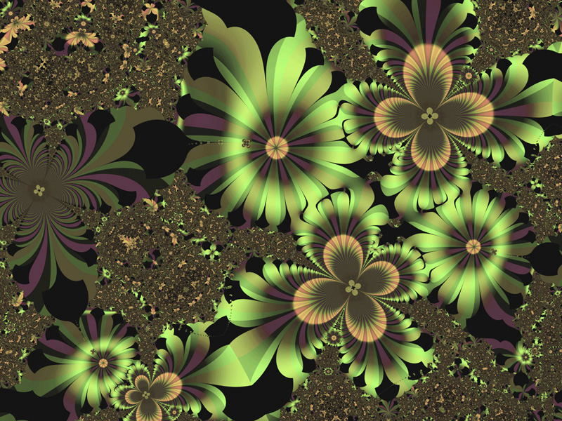 flower wallpapers for desktop. Desktop Wallpapers Gallery