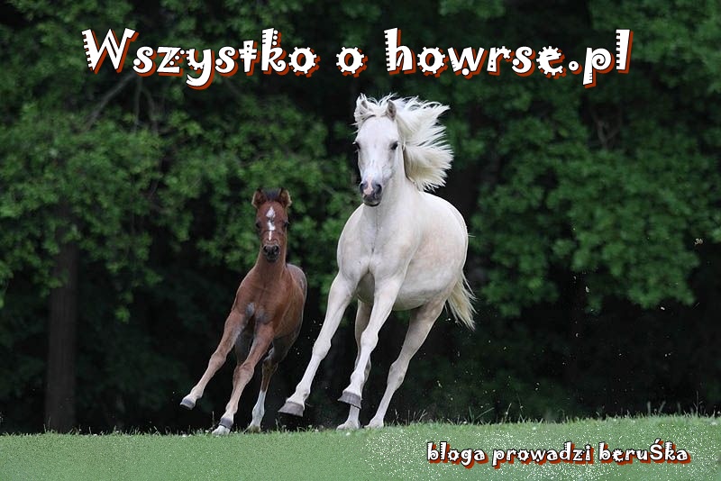 WsZyStKo O howrse.pl