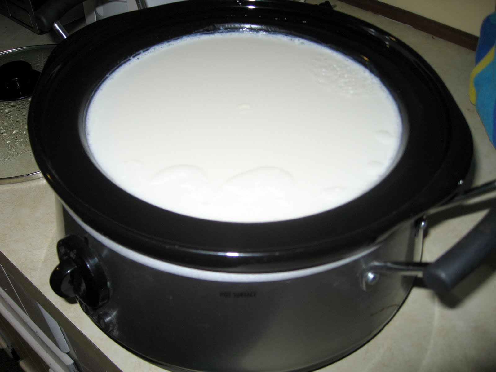 Homemade Yogurt with Crockpot