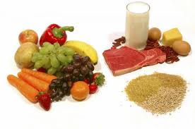 lipids food under fontanacountryinn com lipids food