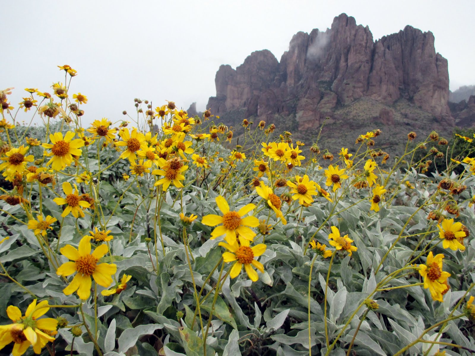Journeys: Superstition Mountains and Phoenix, Arizona Area - Hiking and Road Biking
