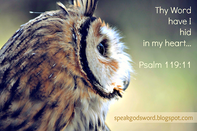 Thy Word have I hid in my heart that I might not sin against Thee Psalm 119:11  SpeakGodsWord.blogspot.com
