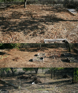 Clearing up fallen leaves Clearing up fallen leaves