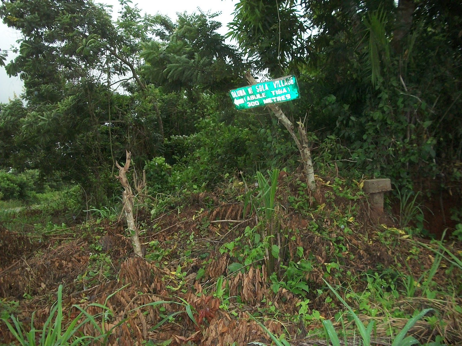 Taiwo's World Land grabbers villages invaded