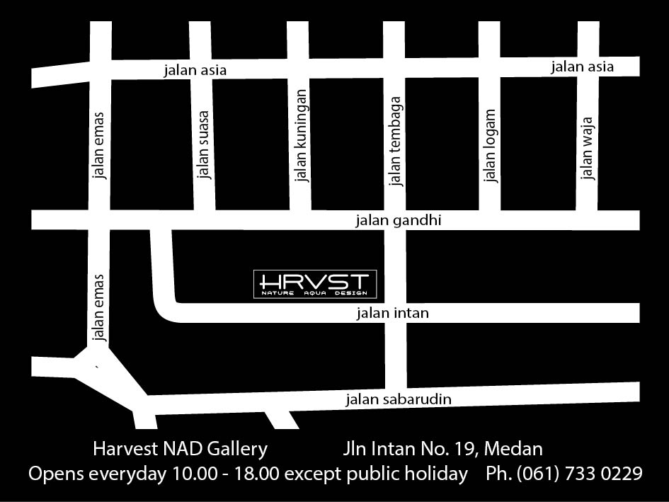 Peta lokasi Gallery Harvest NAD