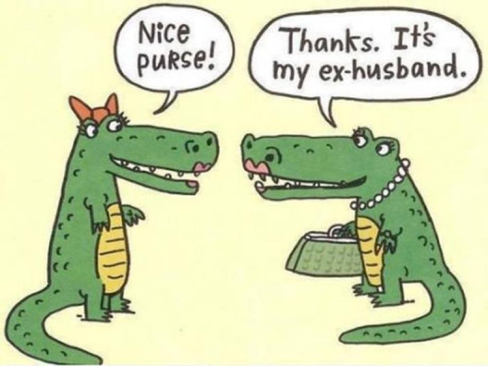 Alligators Archives Common Sense Evaluation