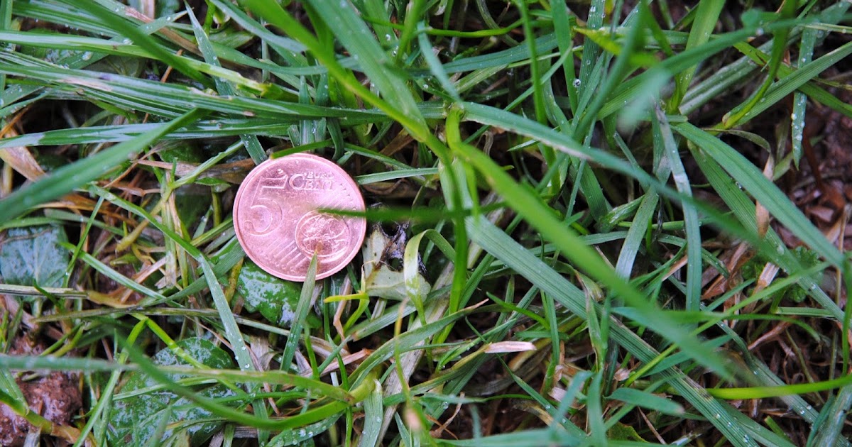 Throw a nickel on the grass. Adventures of Alex & Emily