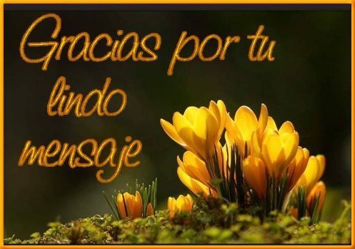 Resultado de imagen para Bonito mensaje, Gracias por participar