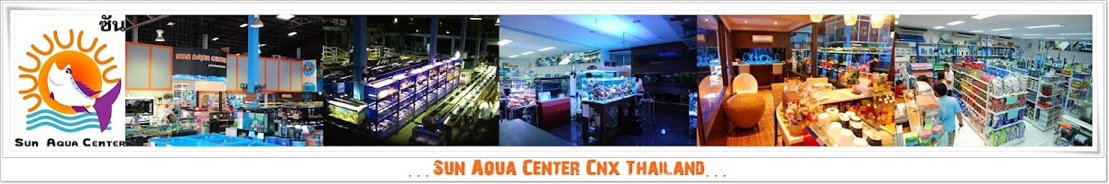 Sun Aqua Center