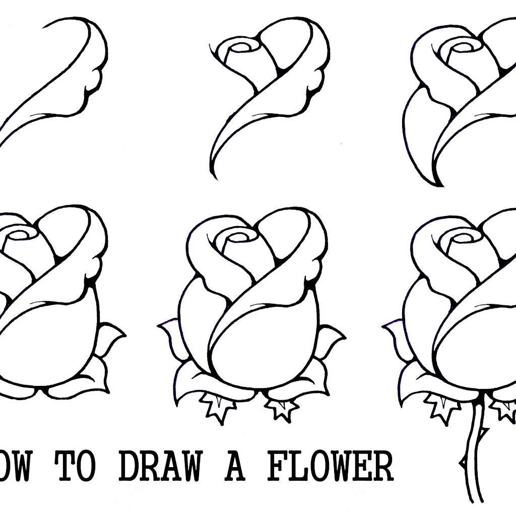 Images To Draw Step By Step Images To Draw Step By Step
