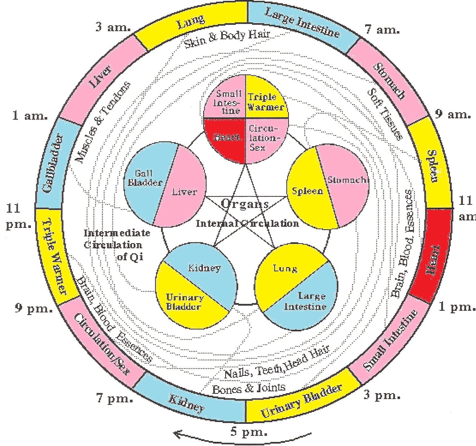 Chinese Meridian Sleep Chart