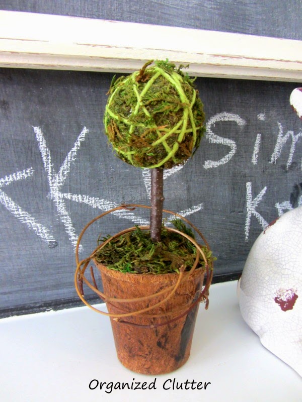 First Time at Hobby Lobby, Spring Snow Storm, Moss Topiary, & a New