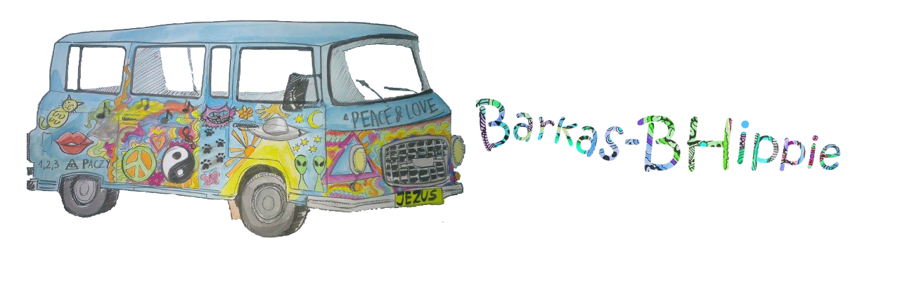 Barkas B-Hippie es