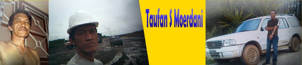 Taufan S Moerdani