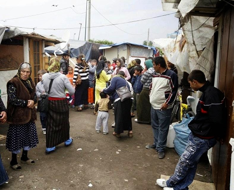 siti per adulti sismi