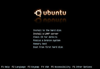 Instalasi Awal Ubuntu Server