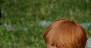 Desperate Chefs' Wives: The Truth About Babies