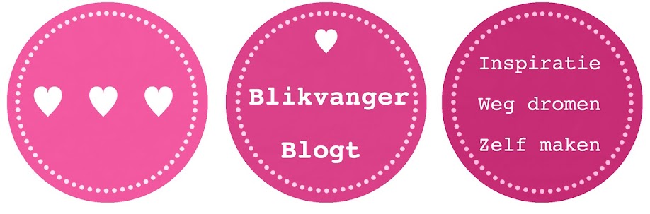 Blikvanger Blogt