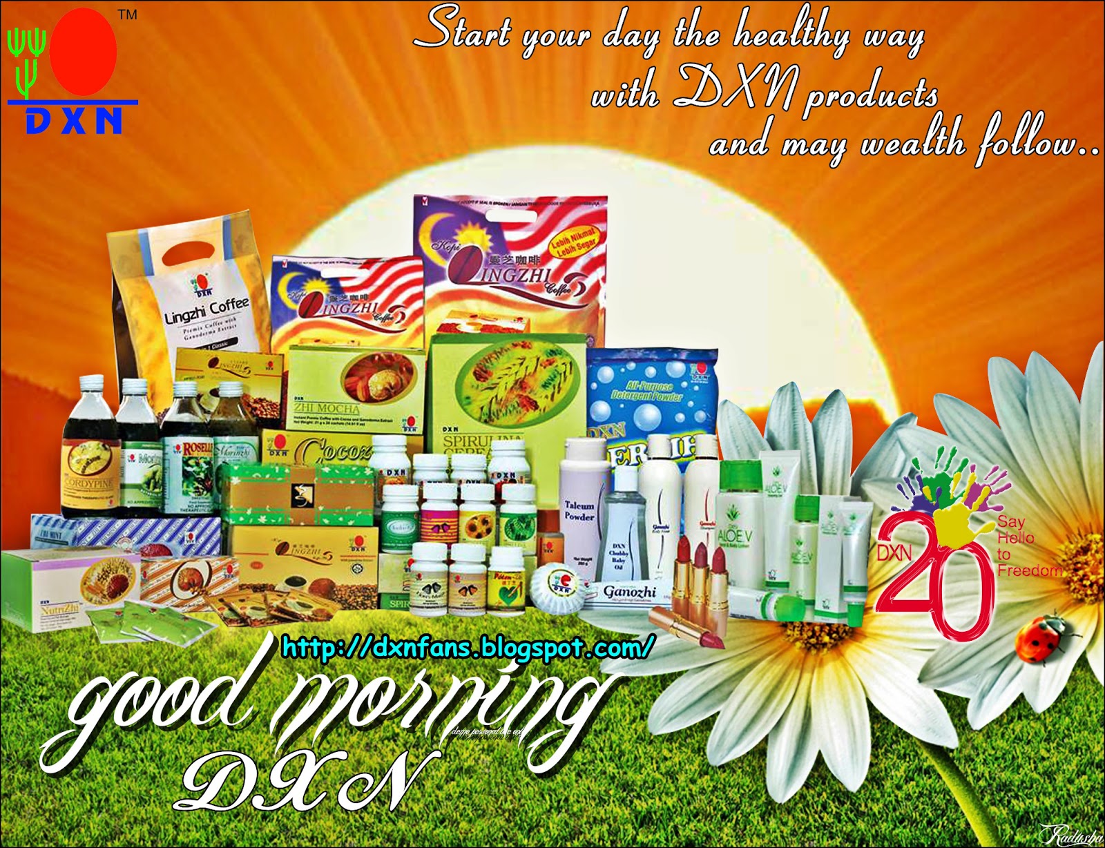 to the DXN Fans Blog DXN Products