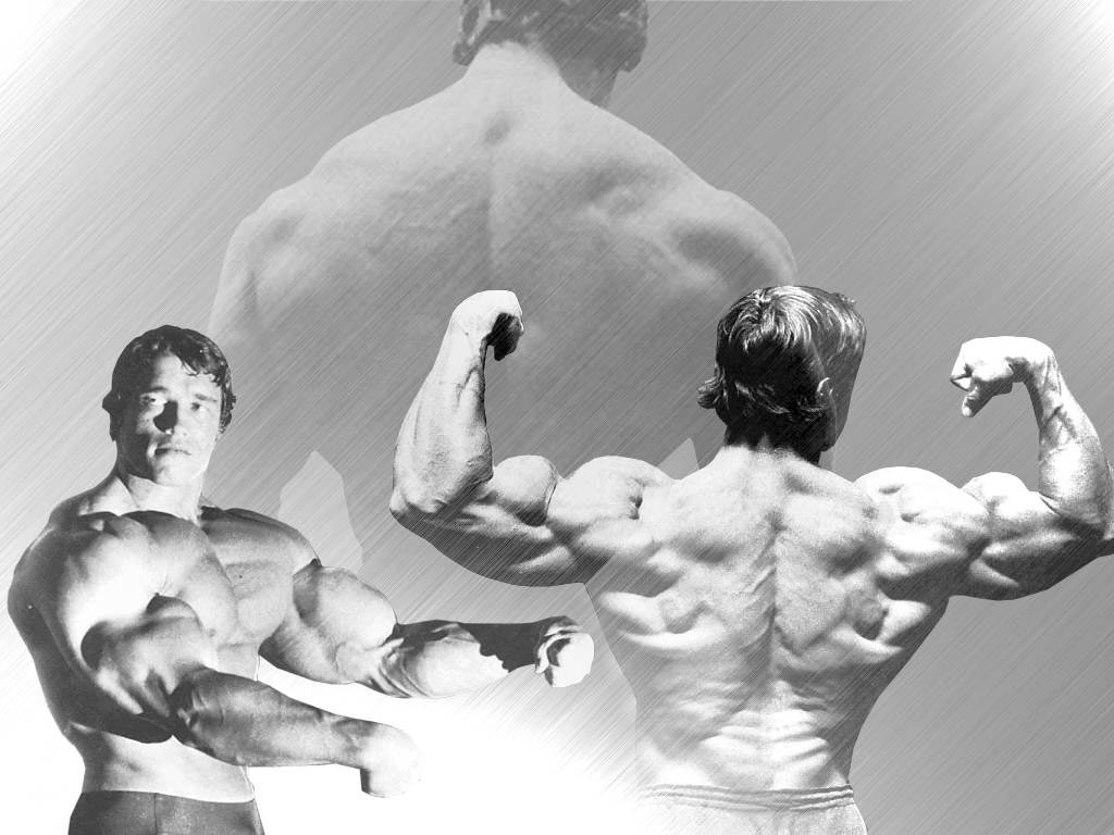 Arnold Schwarzenegger Wallpaper