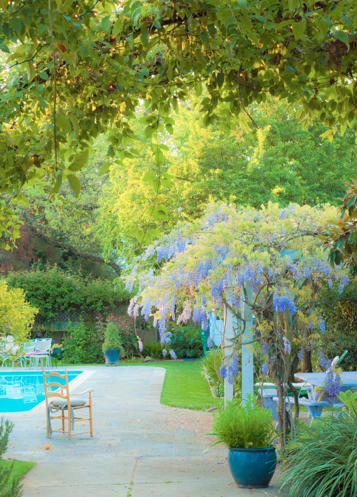 * Chic Provence * Summer She Flew