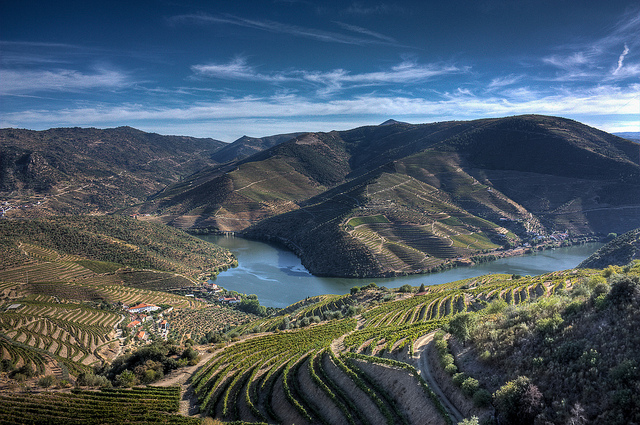 Douro Valley