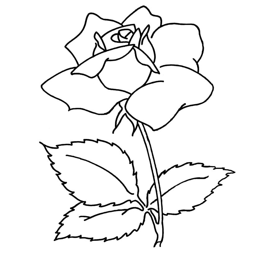 Beautiful Flower Coloring Drawing Free wallpaper