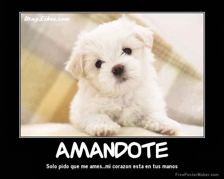 Frases bonitas y cortas de autoestima | IMÁGENES GRATIS
