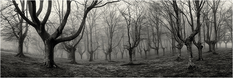 Emerging Photographers, Best Photo of the Day in Emphoka by Oskar Zapirain Emerging Photographers, Best Photo of the Day in Emphoka by Oskar Zapirain