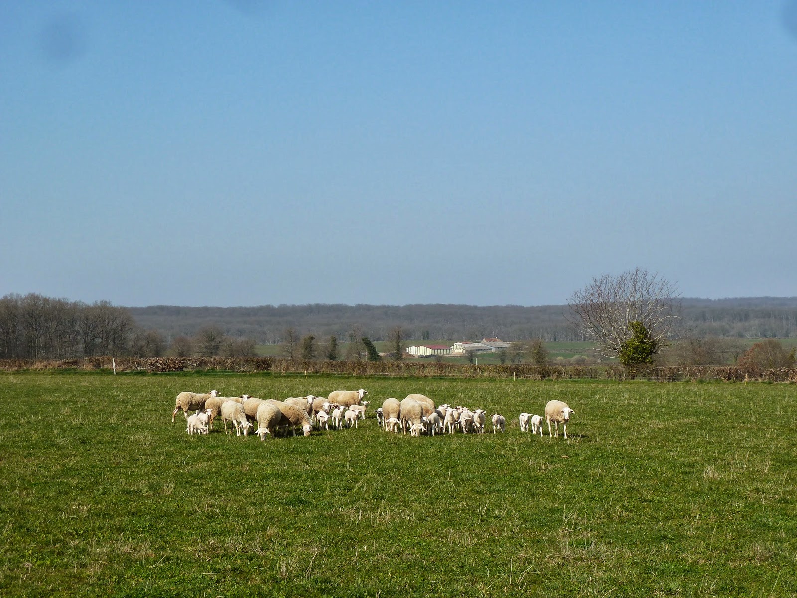 rencontre prostituées rabat