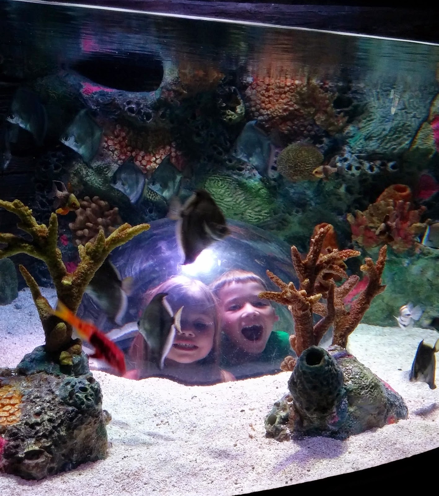 Confessions of a Frugal Mind Save 3 Off Your Admission to Kansas City